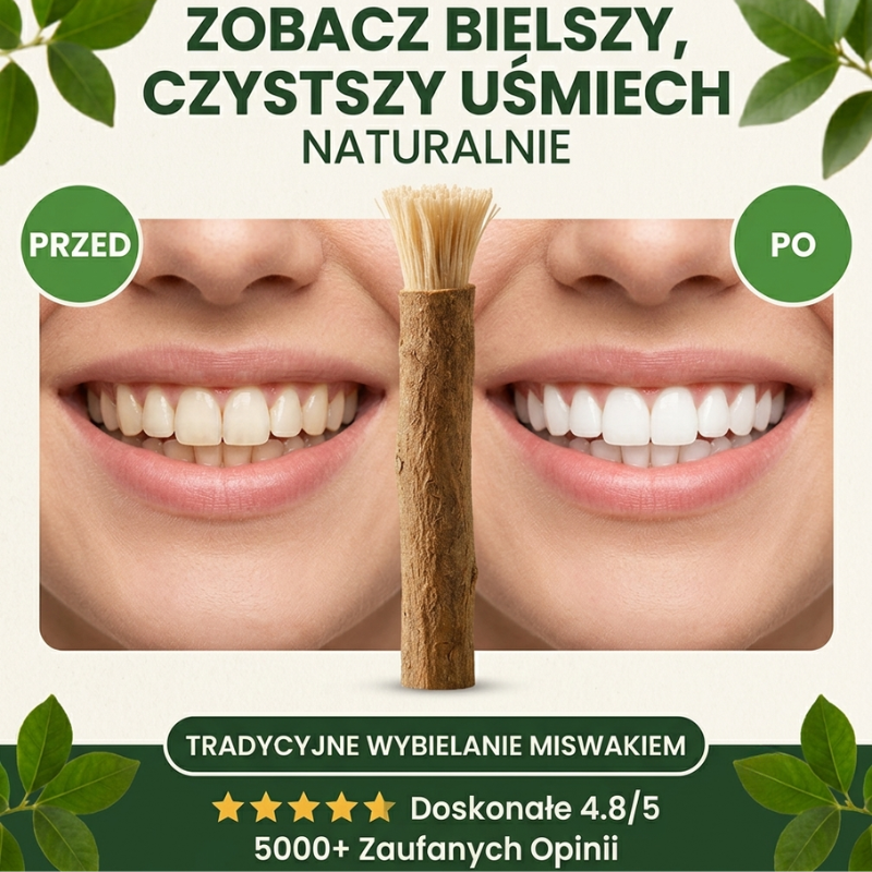 Miswak historia